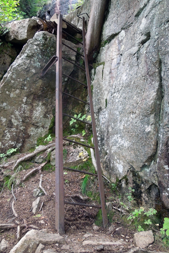 ladder on the Beech Cliff Ladder Trail, ME