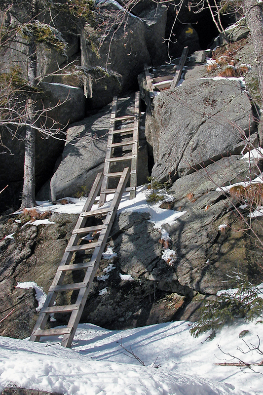 ladder on the Mt. Morgan Trail, Mt. Morgan, NH