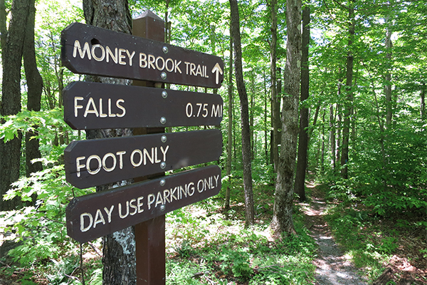 Money Brook Falls, Massachusetts
