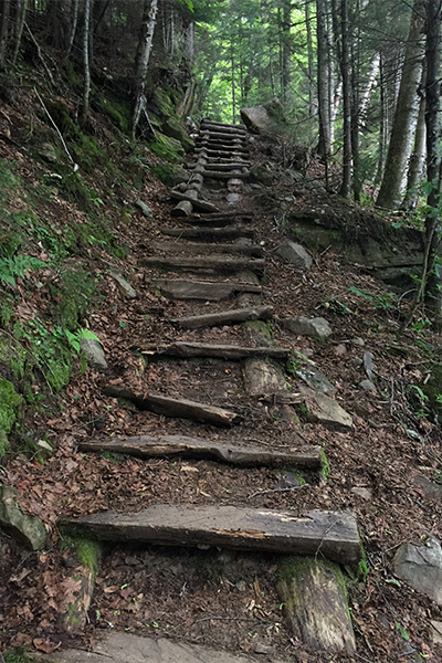 a rotting ladder on the Beaver Brook Trail