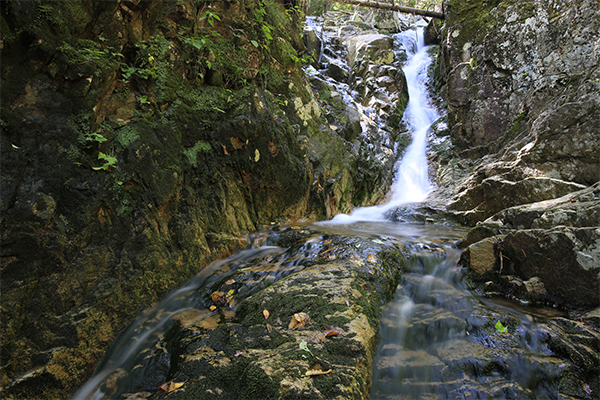 a view of Beecher Cascade from within its gorge
