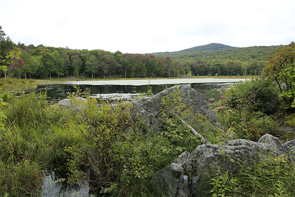 Abbey Pond Cascades, Vermont