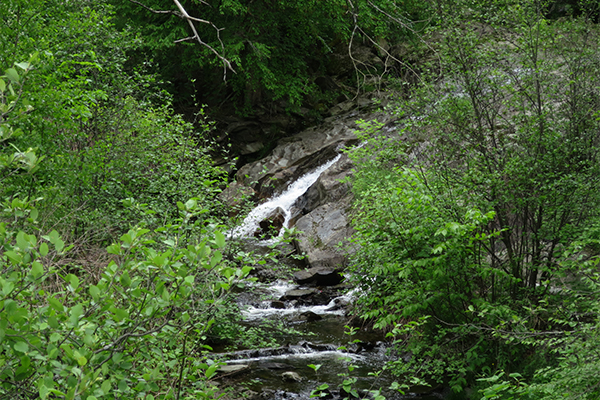 Wolcott Pond Brook Falls, Vermont
