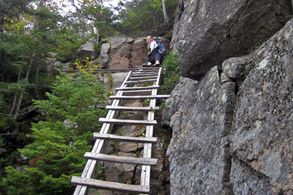 ladder on the HI-Cannon Trail