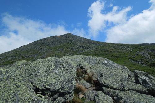 Mt. Jefferson from Caps Ridge Trail